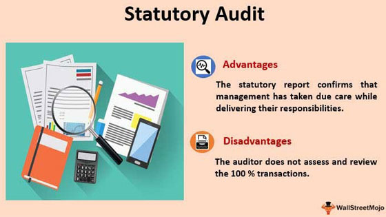 Audit Of Financial Statement | Statutory Audit