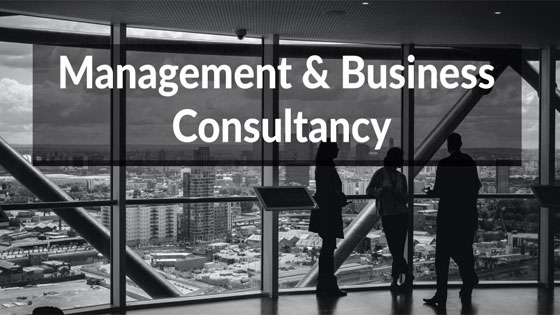 Management and Business Consultant in the UAE